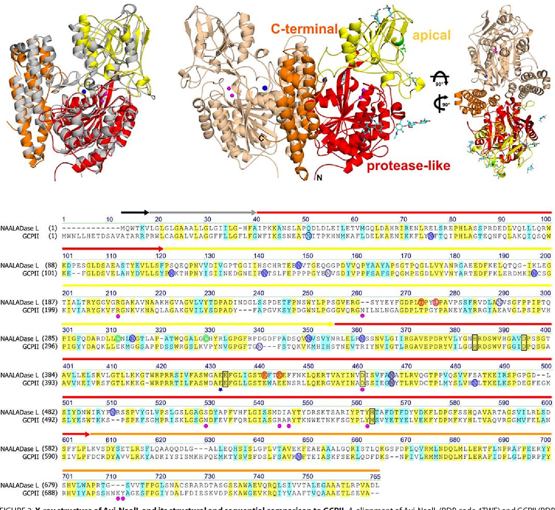 Publications Jan Konvalinka Group