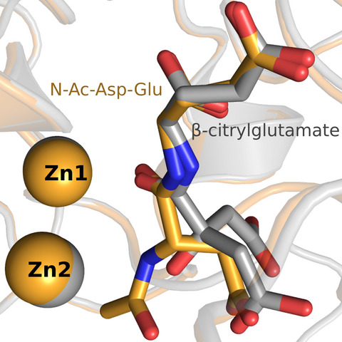 Publications Jan Konvalinka Group