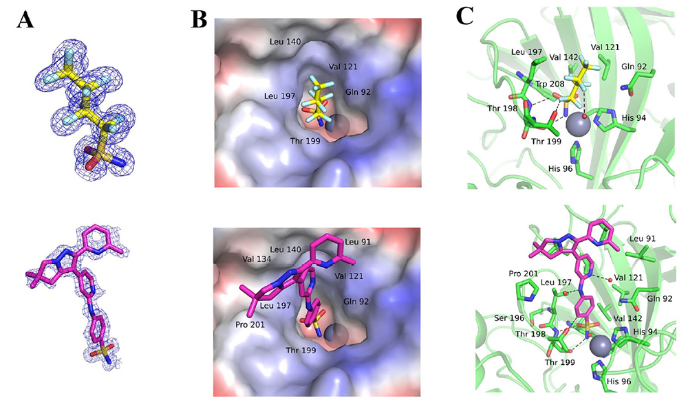 Identification of novel carbonic anhydrase IX inhibitors using high-throughput screening of pooled compound libraries by DIANA